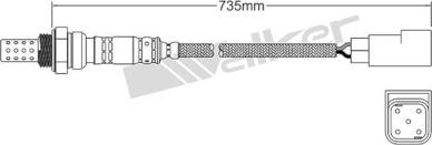 Walker Products 250-24552 - Lambda-sonda www.molydon.hr