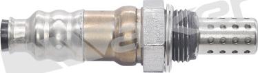 Walker Products 250-241023 - Lambda-sonda www.molydon.hr