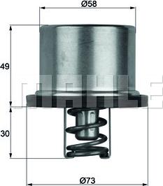 Wilmink Group WG1150247 - Termostat, rashladna tekućinu www.molydon.hr