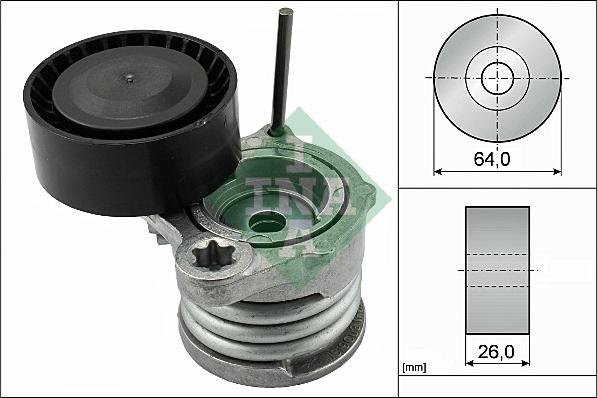 Wilmink Group WG1253498 - Natezač remena, klinasti rebrasti remen  www.molydon.hr