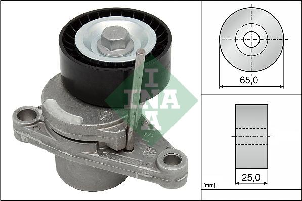 Wilmink Group WG1253438 - Natezač remena, klinasti rebrasti remen  www.molydon.hr