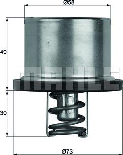 Wilmink Group WG1262770 - Termostat, rashladna tekućinu www.molydon.hr