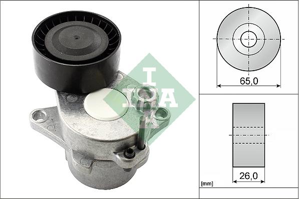 Wilmink Group WG1780545 - Natezač remena, klinasti rebrasti remen  www.molydon.hr