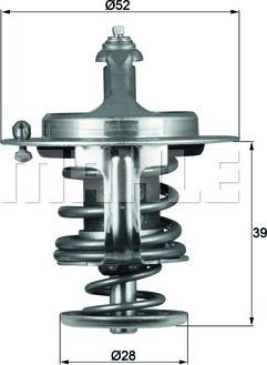 Wilmink Group WG2401529 - Termostat, rashladna tekućinu www.molydon.hr