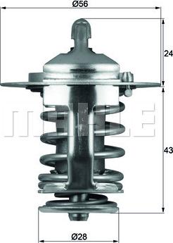 Wilmink Group WG2401528 - Termostat, rashladna tekućinu www.molydon.hr