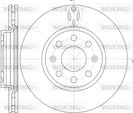 Woking D6981.10 - Kočioni disk www.molydon.hr