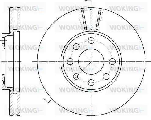 Woking D6572.10 - Kočioni disk www.molydon.hr