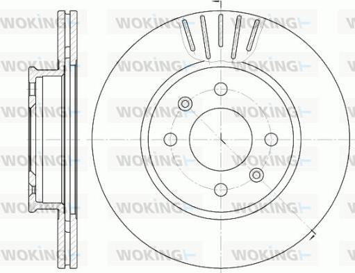 Woking D6666.10 - Kočioni disk www.molydon.hr