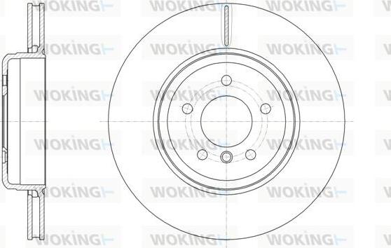 Woking D61961.10 - Kočioni disk www.molydon.hr