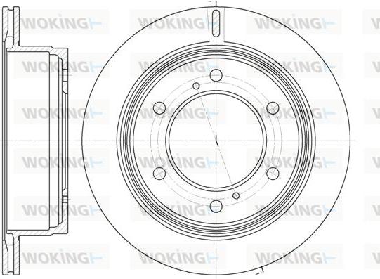 Woking D61929.10 - Kočioni disk www.molydon.hr