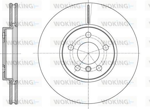 Woking D61596.10 - Kočioni disk www.molydon.hr