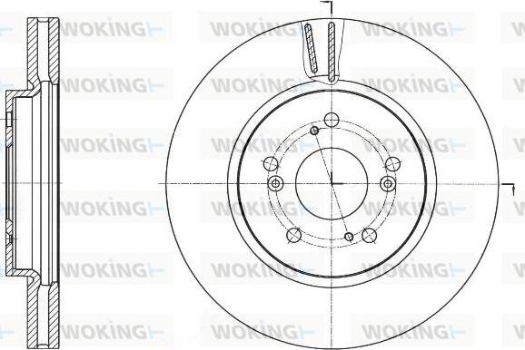 Woking D61643.10 - Kočioni disk www.molydon.hr