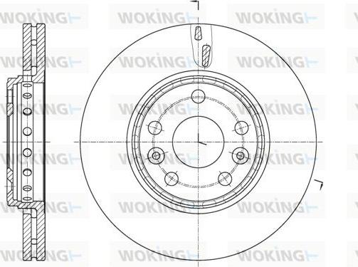 Woking D61655.10 - Kočioni disk www.molydon.hr