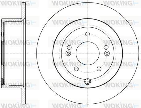 Woking D61106.00 - Kočioni disk www.molydon.hr