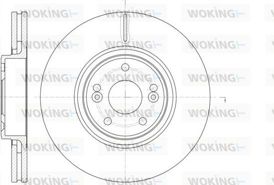 Woking D61171.10 - Kočioni disk www.molydon.hr