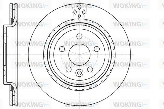 Woking D61305.10 - Kočioni disk www.molydon.hr