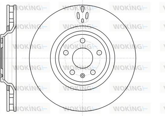 Woking D61213.10 - Kočioni disk www.molydon.hr