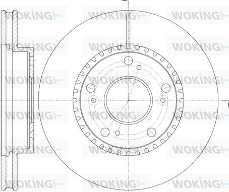 Woking D61232.10 - Kočioni disk www.molydon.hr