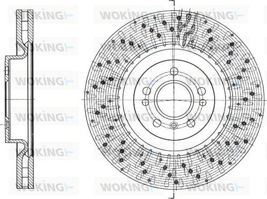 Woking D61750.10 - Kočioni disk www.molydon.hr