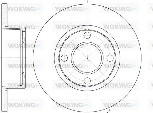 Woking D6173.00 - Kočioni disk www.molydon.hr