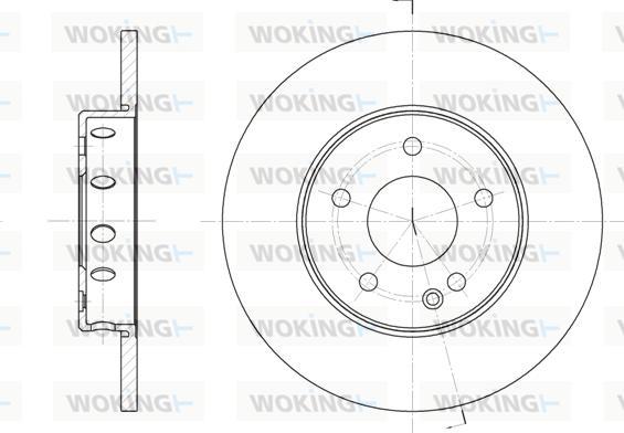 Woking D6310.00 - Kočioni disk www.molydon.hr