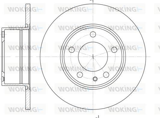 Woking D6312.00 - Kočioni disk www.molydon.hr