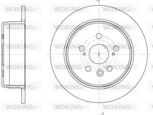 Woking D6245.00 - Kočioni disk www.molydon.hr