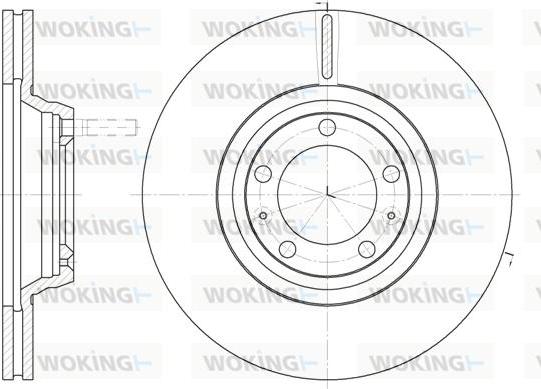 Woking D6247.10 - Kočioni disk www.molydon.hr