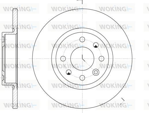 Woking D6209.00 - Kočioni disk www.molydon.hr