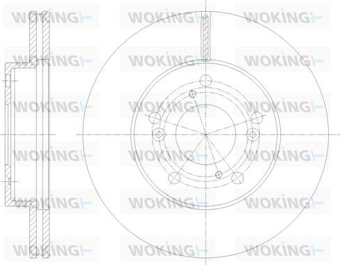 Woking D62061.10 - Kočioni disk www.molydon.hr