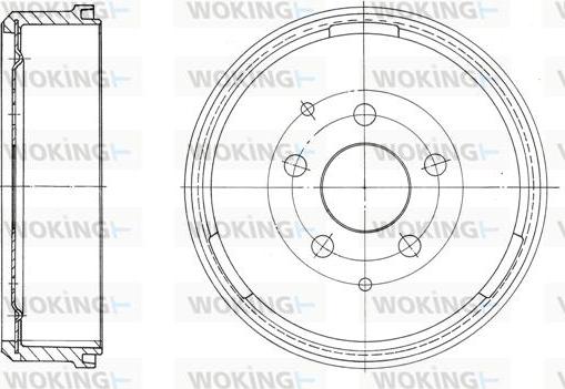 Woking D62030.00 - Kočioni disk www.molydon.hr