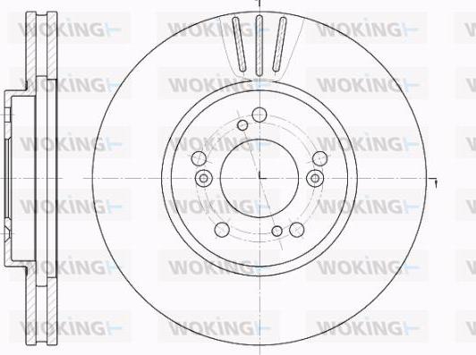 Woking D62031.10 - Kočioni disk www.molydon.hr