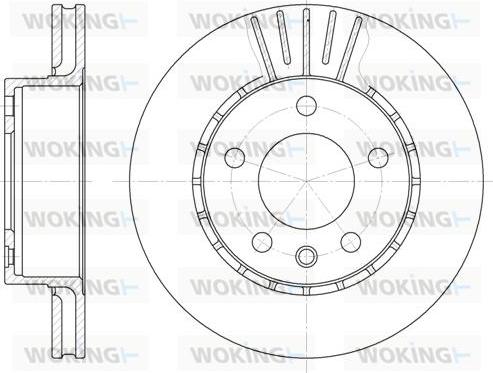 Woking D6202.10 - Kočioni disk www.molydon.hr