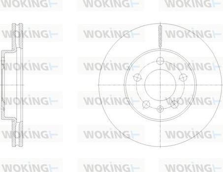 Woking D62119.10 - Kočioni disk www.molydon.hr