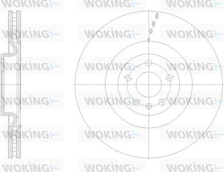 Woking D62113.10 - Kočioni disk www.molydon.hr