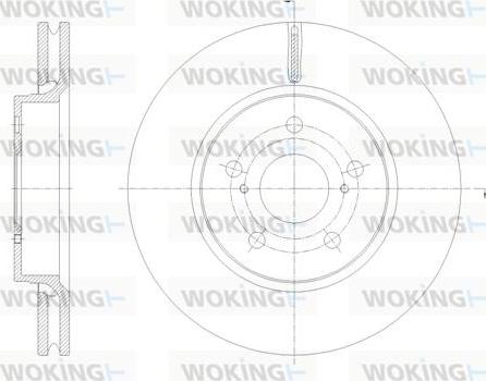 Woking D62134.10 - Kočioni disk www.molydon.hr