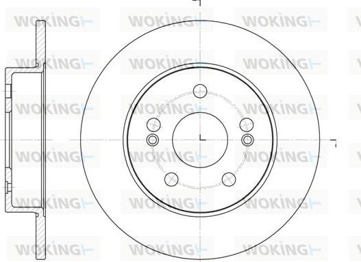 Woking D6239.01 - Kočioni disk www.molydon.hr