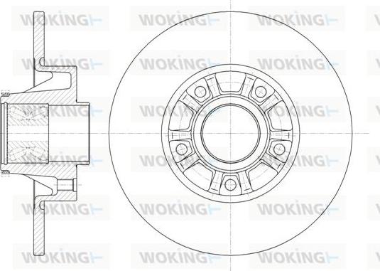 Woking D6733.20 - Kočioni disk www.molydon.hr