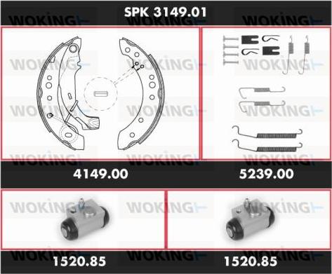 Woking SPK 3149.01 - Komplet kočnica, bubanj kočnice www.molydon.hr