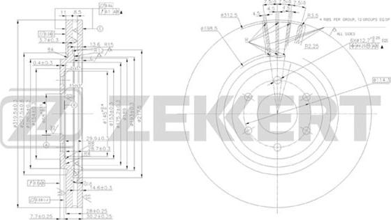 Zekkert BS-5413 - Kočioni disk www.molydon.hr