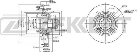 Zekkert BS-5878 - Kočioni disk www.molydon.hr