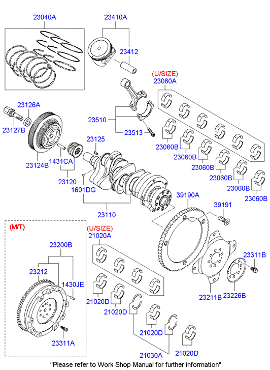 KIA 23410-3E001 - Klip www.molydon.hr